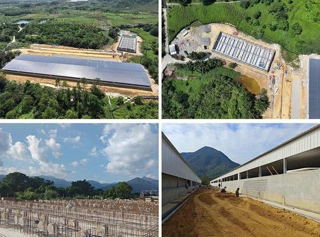 牧原明年成本目标6元斤新希望拟募资38亿升级生物安防及偿债汉德柯斯国内首个育种核心场开工【正典特约·巨头周事】(图3)