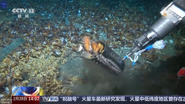 今日要闻！事发于03月02日凌晨1点前两分钟看完新闻摘要！(图4)