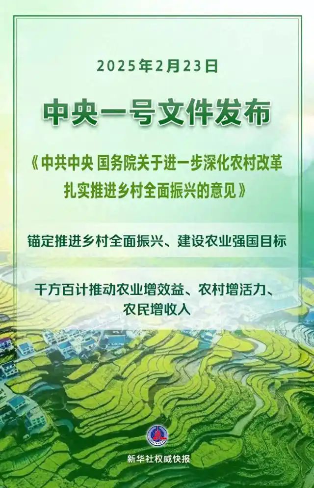 2025中央一号文件深度解读：智能安防如何赋能数字乡村新图景(图1)
