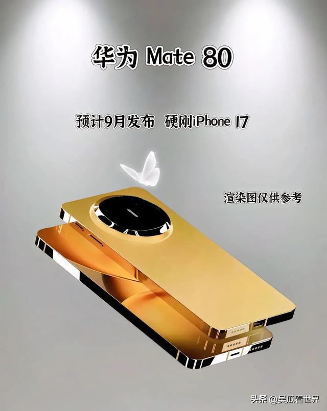华为即将推出小直屏旗舰两种尺寸下半年见花粉：期待已久(图3)