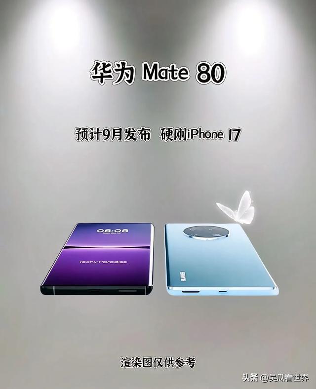 华为即将推出小直屏旗舰两种尺寸下半年见花粉：期待已久(图11)