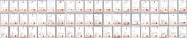 王力安防智能制造领跑行业 开启智能门锁“高品低价”新阶段(图2)