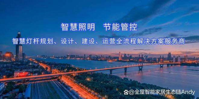 智慧路灯智慧用电解决方案 城市照明系统(图3)