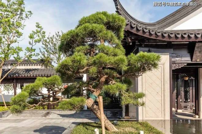 ₳璟雲里ʚɞ官方售楼处发布：云端留白璟里点睛共谱人居新境(图10)
